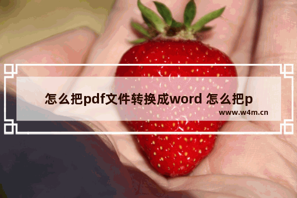 怎么把pdf文件转换成word 怎么把pdf文件转换成word免费软件