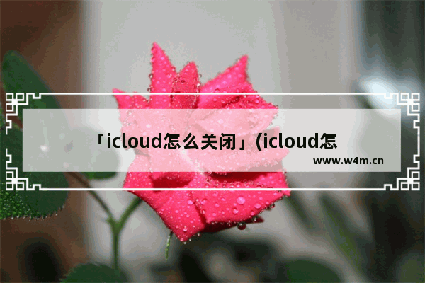 「icloud怎么关闭」(icloud怎么关闭扣费通知)