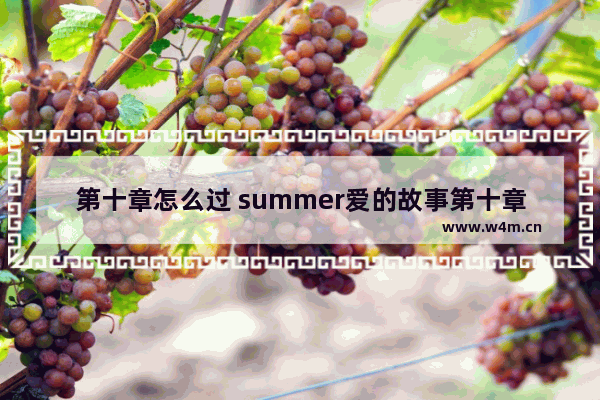 第十章怎么过 summer爱的故事第十章怎么过