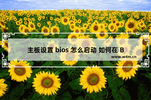 主板设置 bios 怎么启动 如何在 BIOS 中进行启动设置