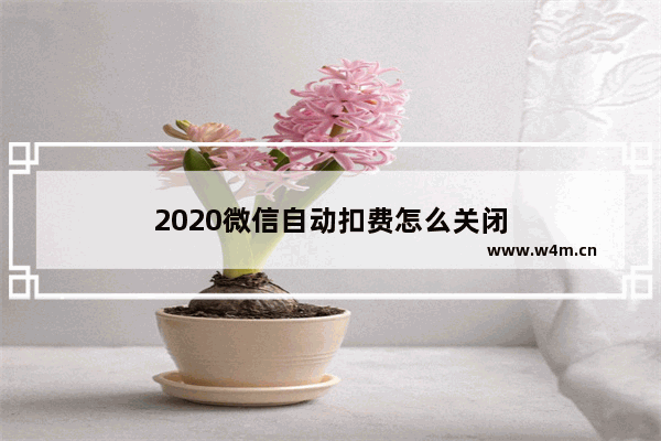 2020微信自动扣费怎么关闭