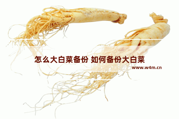 怎么大白菜备份 如何备份大白菜