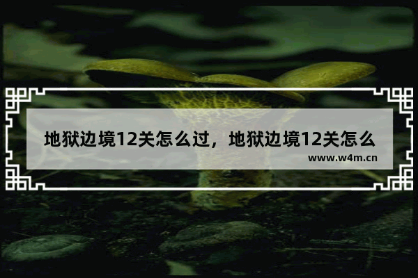 地狱边境12关怎么过，地狱边境12关怎么过攻略教程