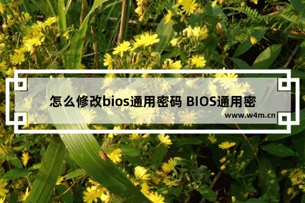 怎么修改bios通用密码 BIOS通用密码修改方法