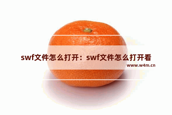 swf文件怎么打开：swf文件怎么打开看视频