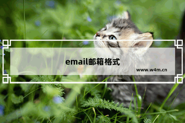 email邮箱格式