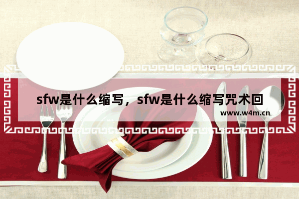 sfw是什么缩写，sfw是什么缩写咒术回战