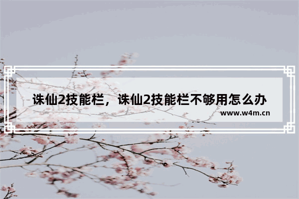 诛仙2技能栏，诛仙2技能栏不够用怎么办