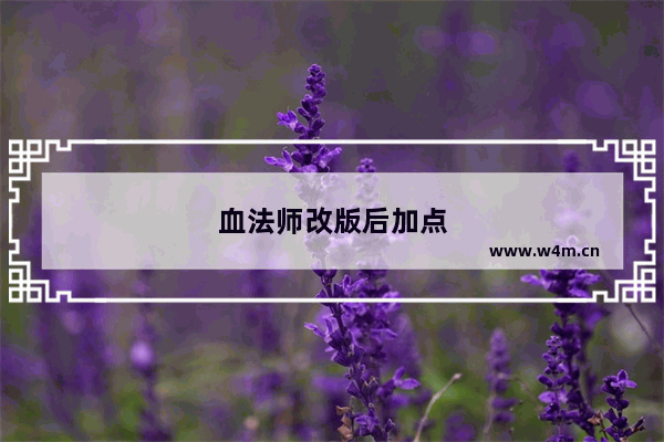 血法师改版后加点