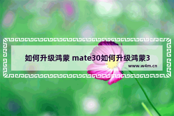 如何升级鸿蒙 mate30如何升级鸿蒙3.0