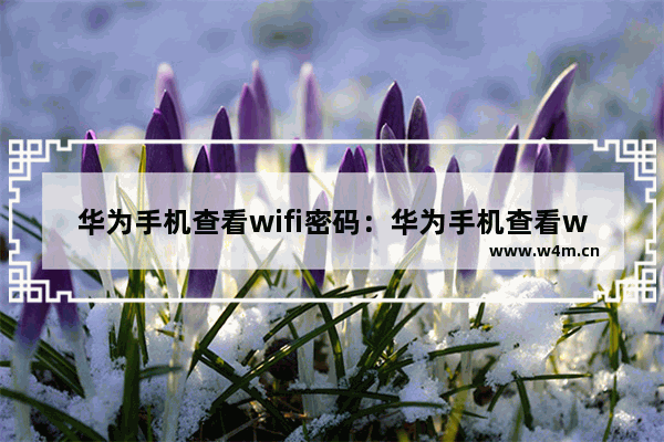 华为手机查看wifi密码：华为手机查看wifi密码命令