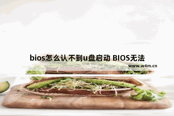 bios怎么认不到u盘启动 BIOS无法识别U盘启动问题