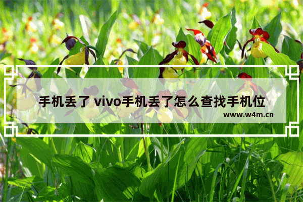 手机丢了 vivo手机丢了怎么查找手机位置免费