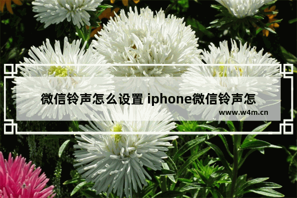 微信铃声怎么设置 iphone微信铃声怎么设置