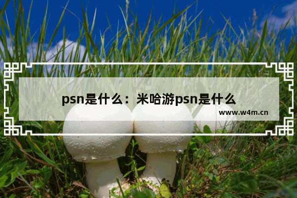 psn是什么：米哈游psn是什么