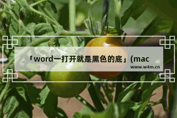 「word一打开就是黑色的底」(mac word一打开就是黑色的底)