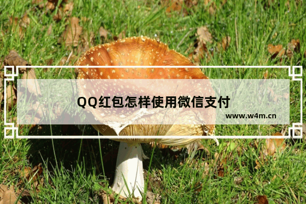 QQ红包怎样使用微信支付