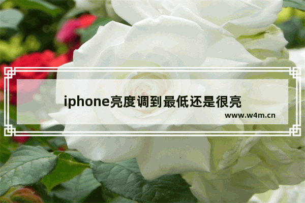 iphone亮度调到最低还是很亮