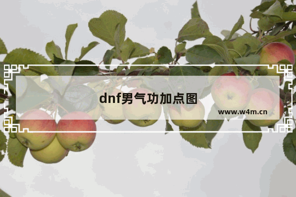 dnf男气功加点图