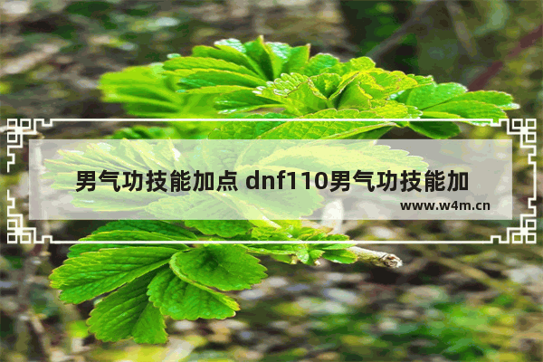 男气功技能加点 dnf110男气功技能加点