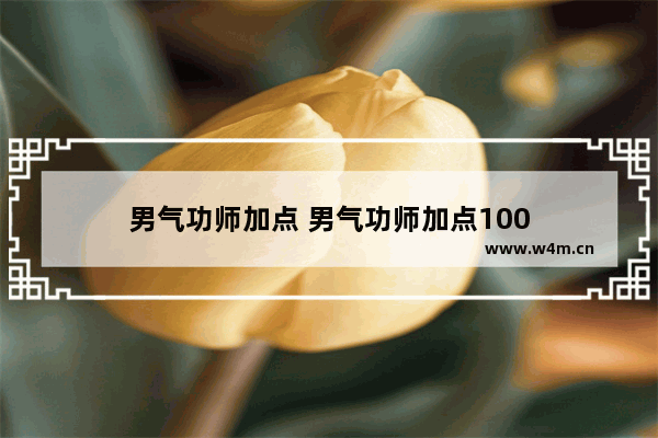 男气功师加点 男气功师加点100