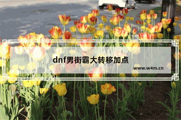 dnf男街霸大转移加点