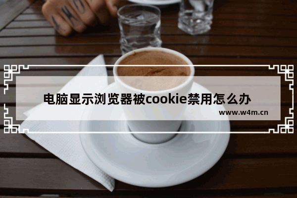 电脑显示浏览器被cookie禁用怎么办 电脑浏览器禁用cookie怎么办？