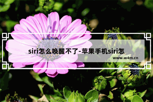 siri怎么唤醒不了-苹果手机siri怎么唤醒不了微信