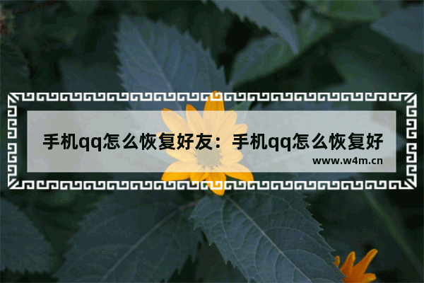 手机qq怎么恢复好友：手机qq怎么恢复好友列表