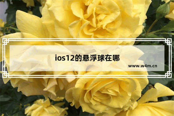 ios12的悬浮球在哪