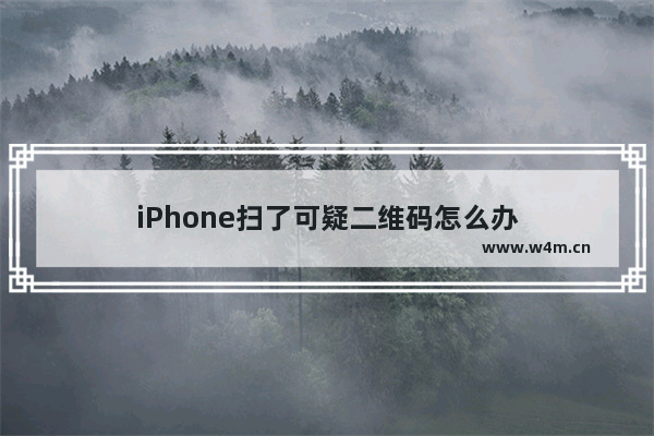 iPhone扫了可疑二维码怎么办