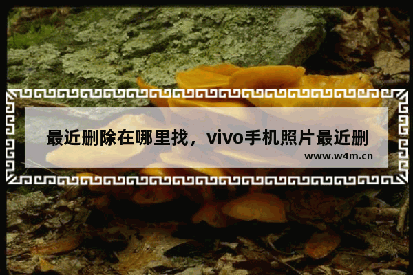 最近删除在哪里找，vivo手机照片最近删除在哪里找