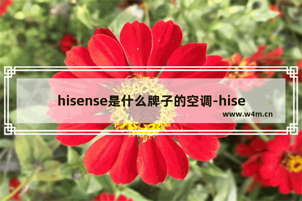 hisense是什么牌子的空调-hisense是什么牌子的空调手机遥控