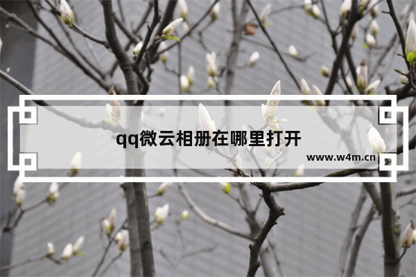 qq微云相册在哪里打开