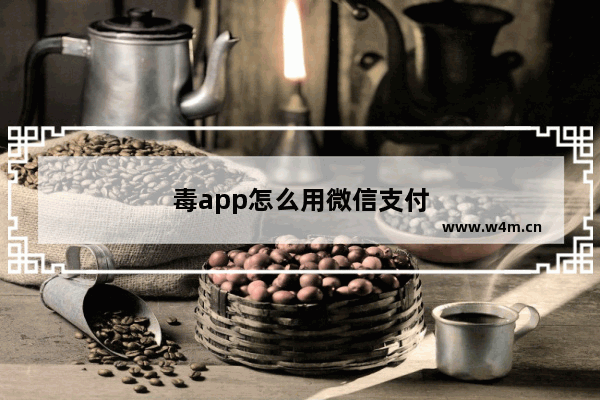 毒app怎么用微信支付