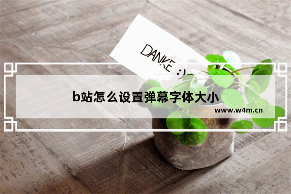 b站怎么设置弹幕字体大小