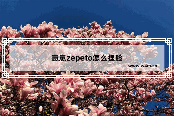 崽崽zepeto怎么捏脸