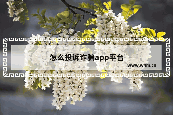 怎么投诉诈骗app平台