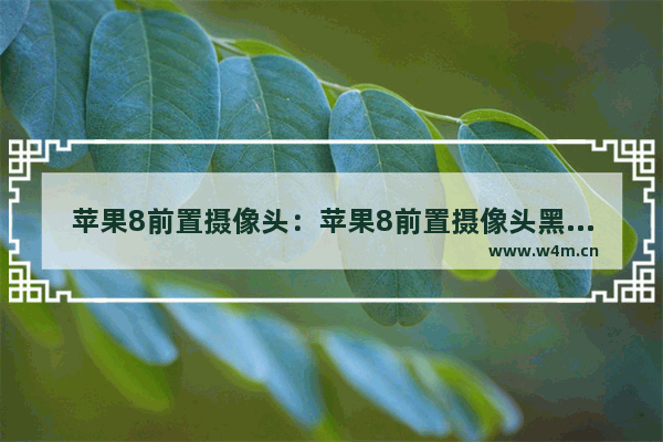 苹果8前置摄像头：苹果8前置摄像头黑屏后置正常