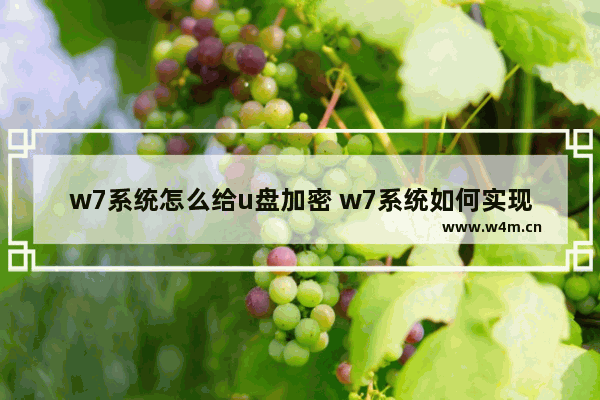 w7系统怎么给u盘加密 w7系统如何实现u盘加密