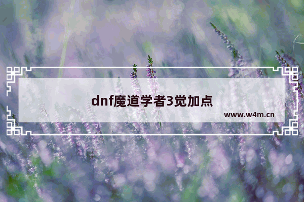 dnf魔道学者3觉加点