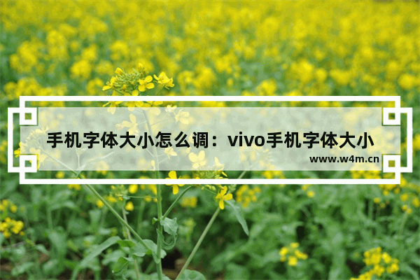 手机字体大小怎么调：vivo手机字体大小怎么调不到最大