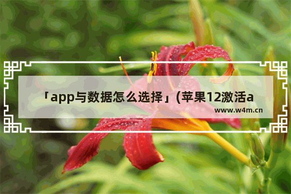 「app与数据怎么选择」(苹果12激活app与数据怎么选择)