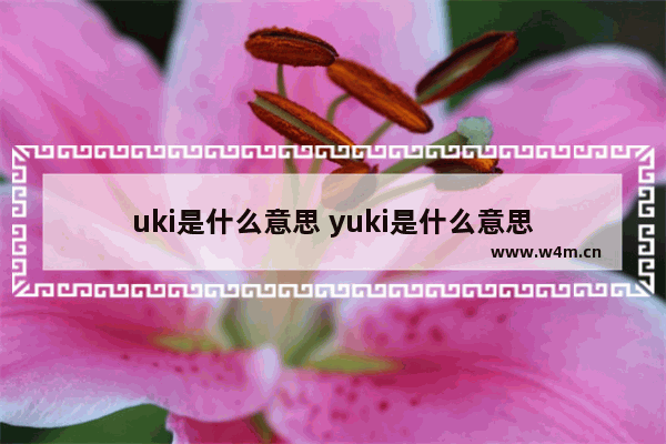 uki是什么意思 yuki是什么意思