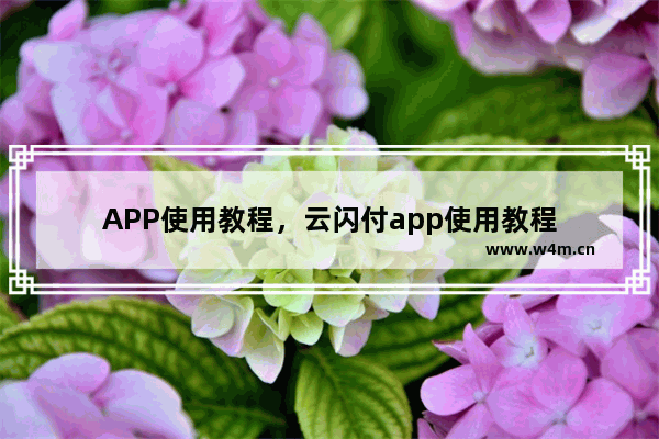 APP使用教程，云闪付app使用教程