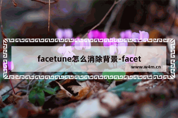 facetune怎么消除背景-facetune怎么消除背景人物