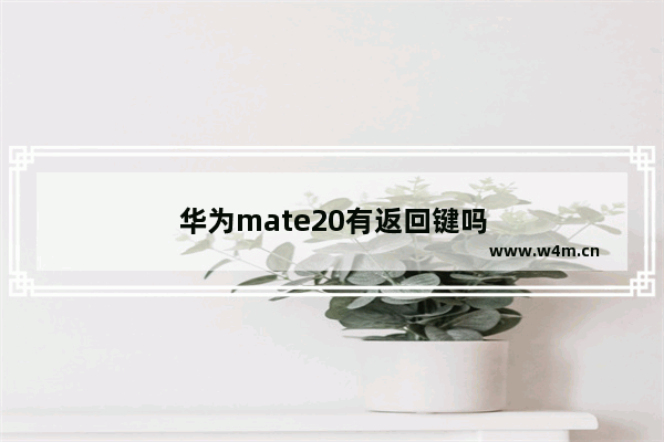 华为mate20有返回键吗