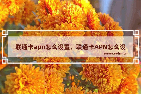 联通卡apn怎么设置，联通卡APN怎么设置信号好