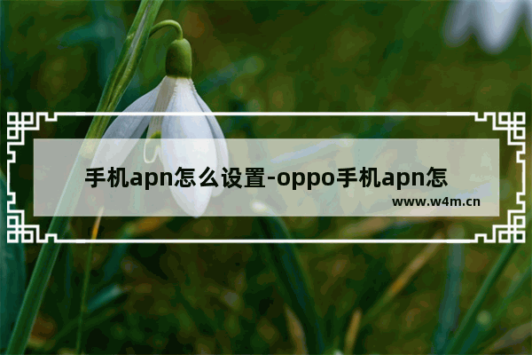 手机apn怎么设置-oppo手机apn怎么设置网速快