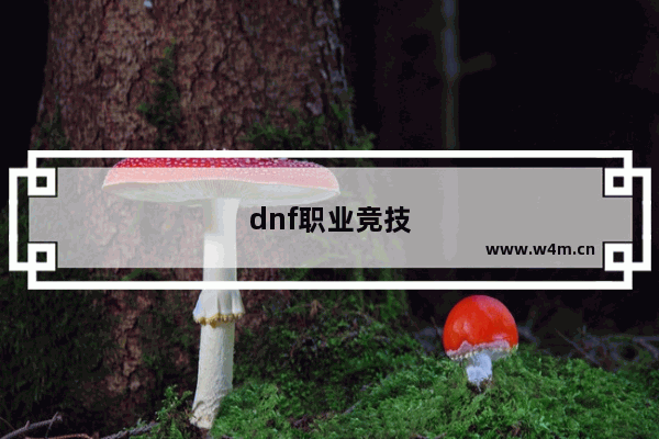 dnf职业竞技